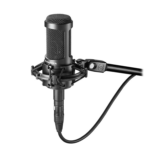 Audio-Technica AT2050 Multi-pattern Condenser Microphone