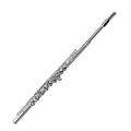 Jinbao JBFL-6248S Silver Plated Flute With Case
