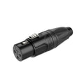 Roxtone RX3F-BG 3 pole XLR female-2nos