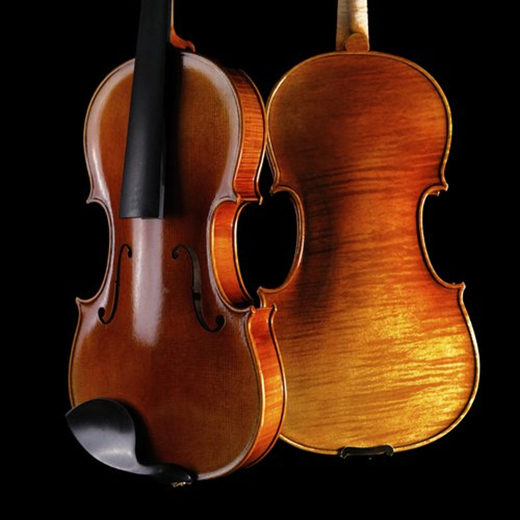 STRYDOM VIOLIN HV 21