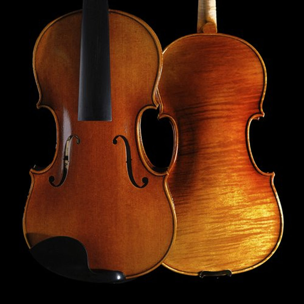 STRYDOM VIOLIN HV 41