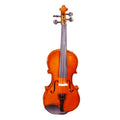 ZSlovakia Indian Handmade Violin 102 4/4 with Bow and Box