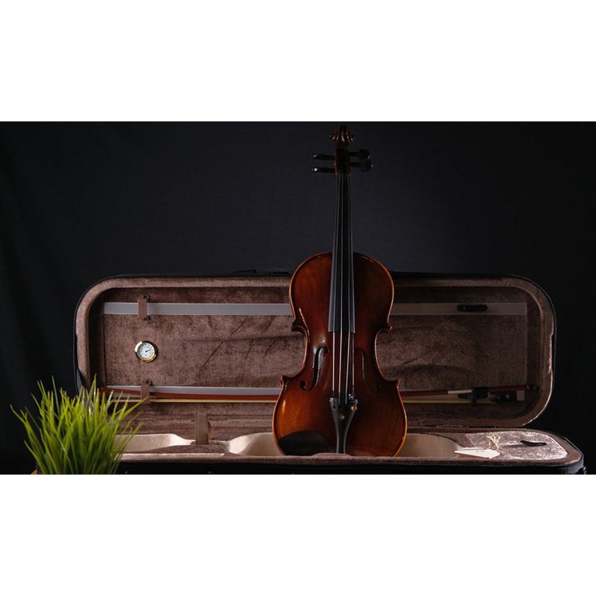 STRYDOM VNF302E 4/4 VIOLIN