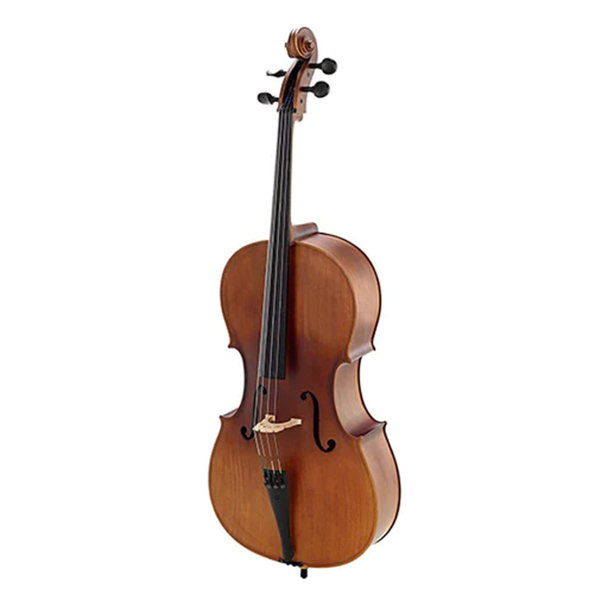 Estevam Cello 4/4 Set
