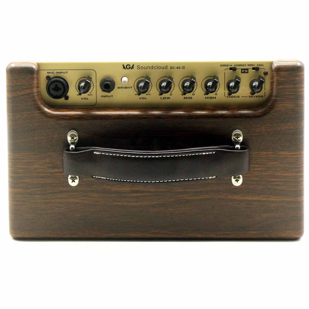 Procraft AGA SC-40 Acoustic Guitar Amplifier