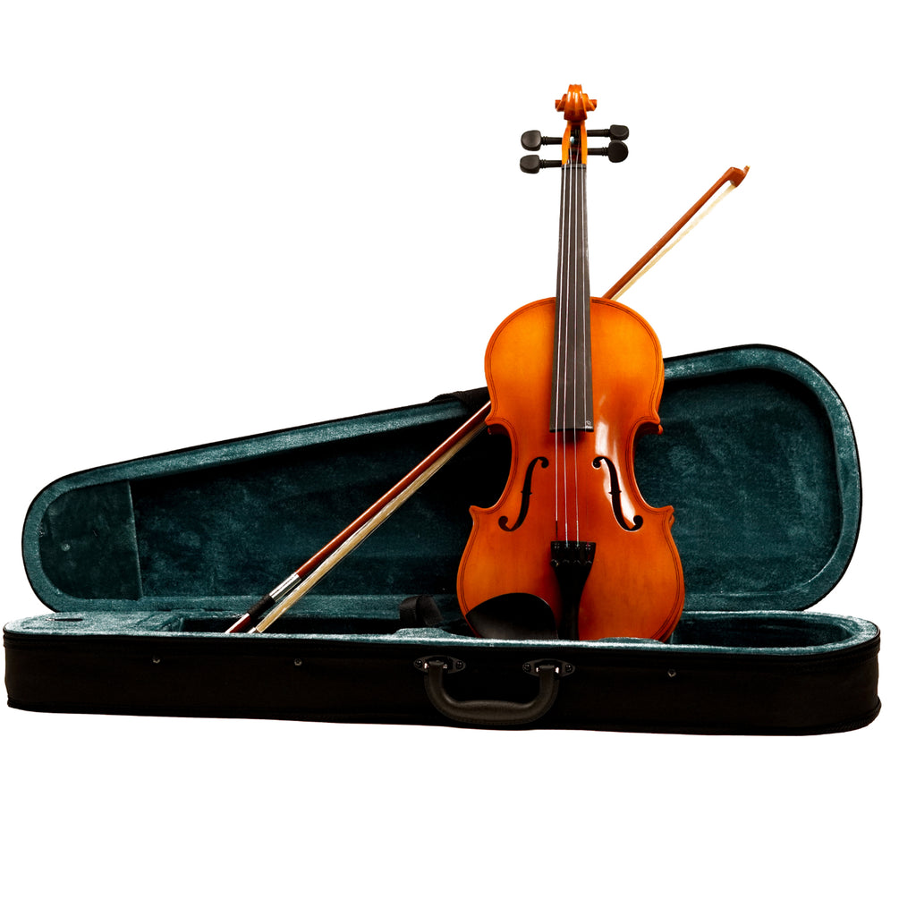 Procraft PR VS1 - Acoustic Violin with Bow, Rosin, Box