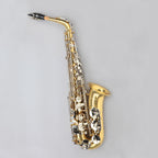 Estevam ESWS Alto Saxophone Gold/Silver Eb