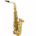 Chateau Valencay CAS-22 GL Alto Saxophone (Golden)