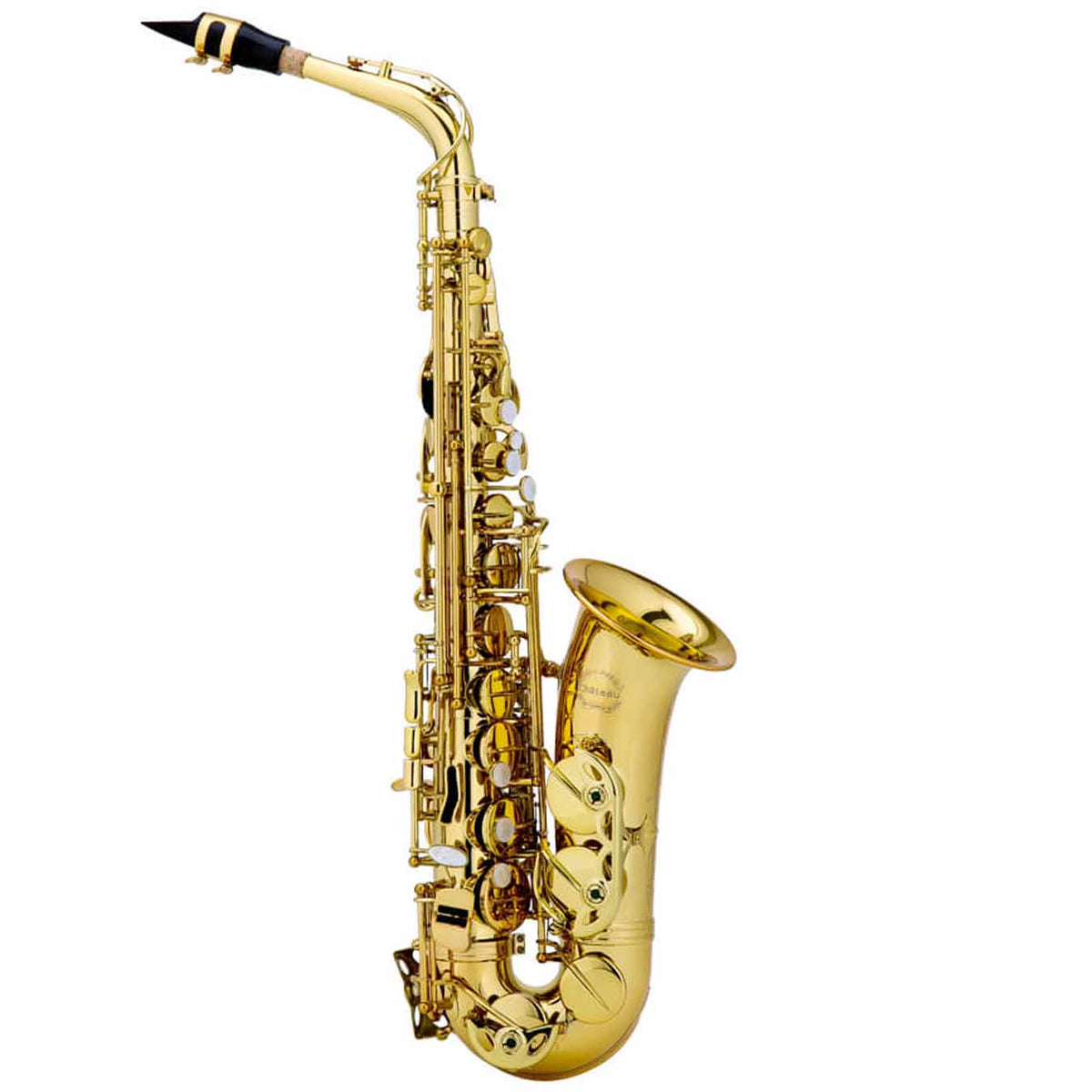 Chateau Valencay CAS-22 GL Alto Saxophone (Golden)