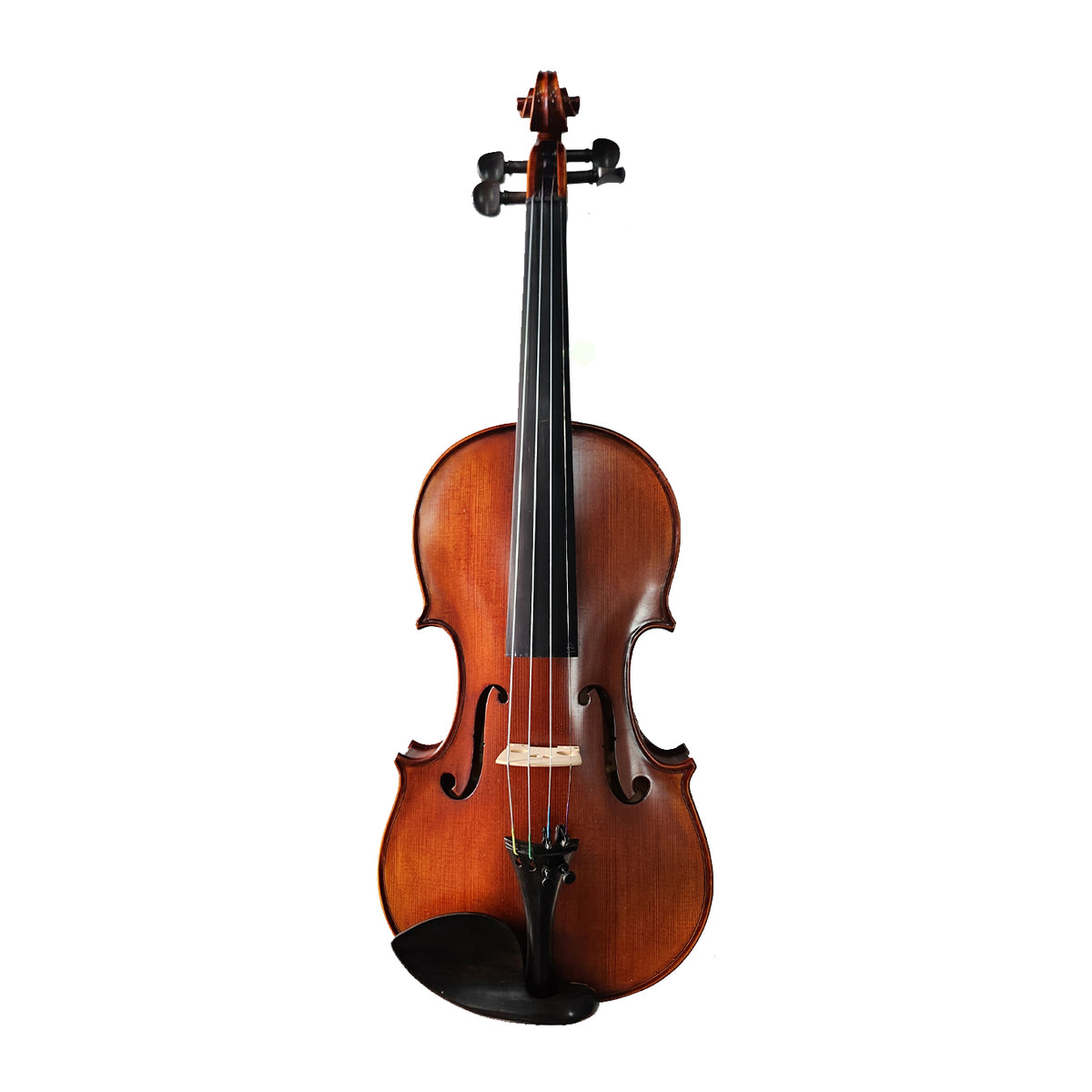 Sergio Tordini STV443M 4/4 Solid Wood Superior Violin Set Matte