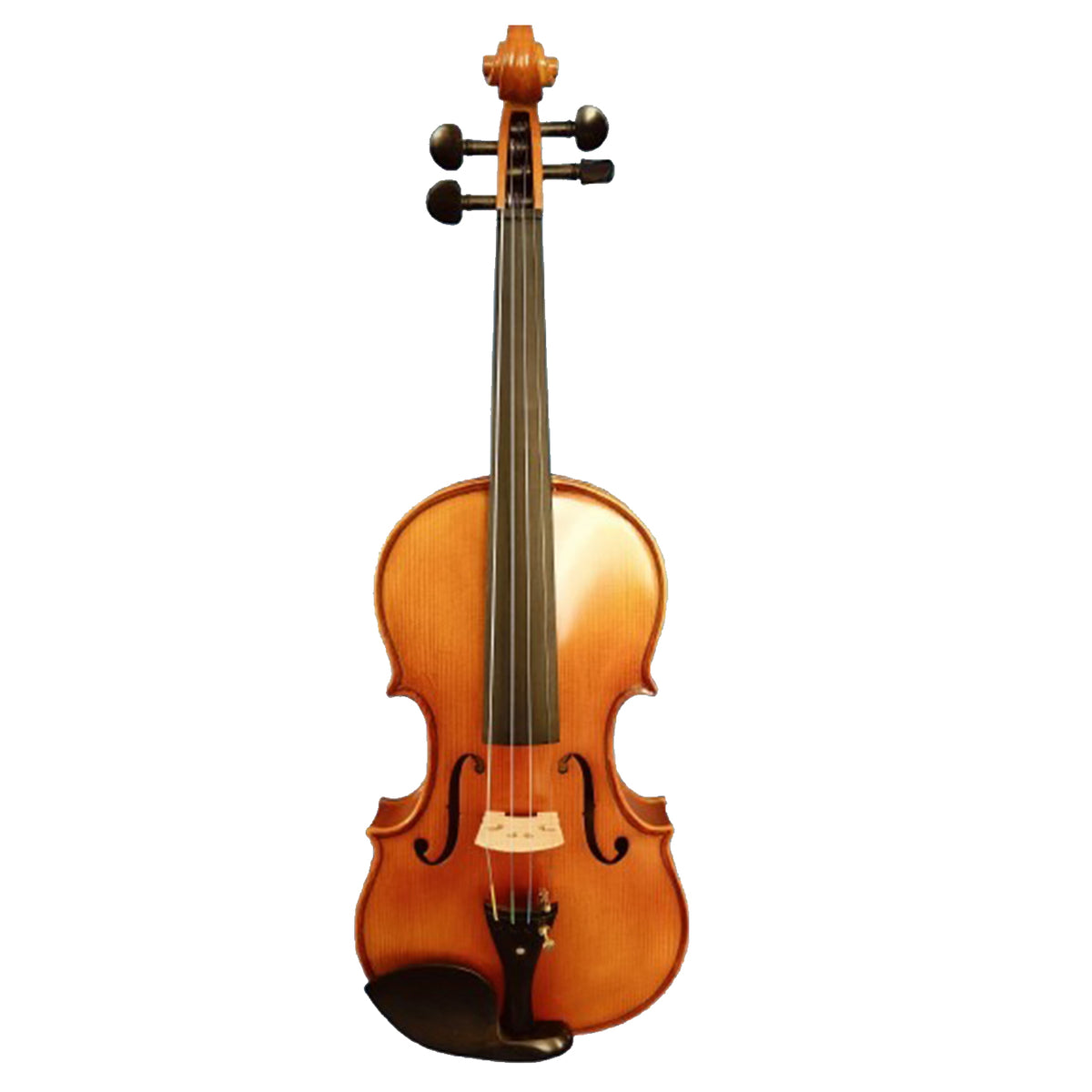 Sergio Tordini STC445G Glossy Solid Top Violin with Bow/Case/ and Rosin