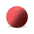 Evans 14inch Red Coated Snare Batter Drumhead B14HR