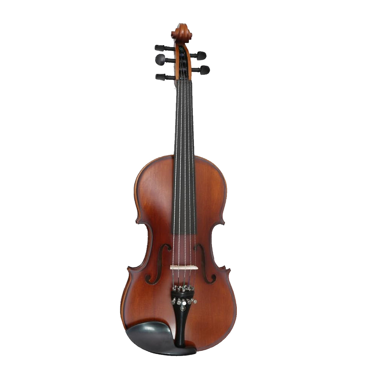 PROCRAFT PR VA1 4/4 5-String ACOUSTIC VIOLIN - SOLID TOP - Natural