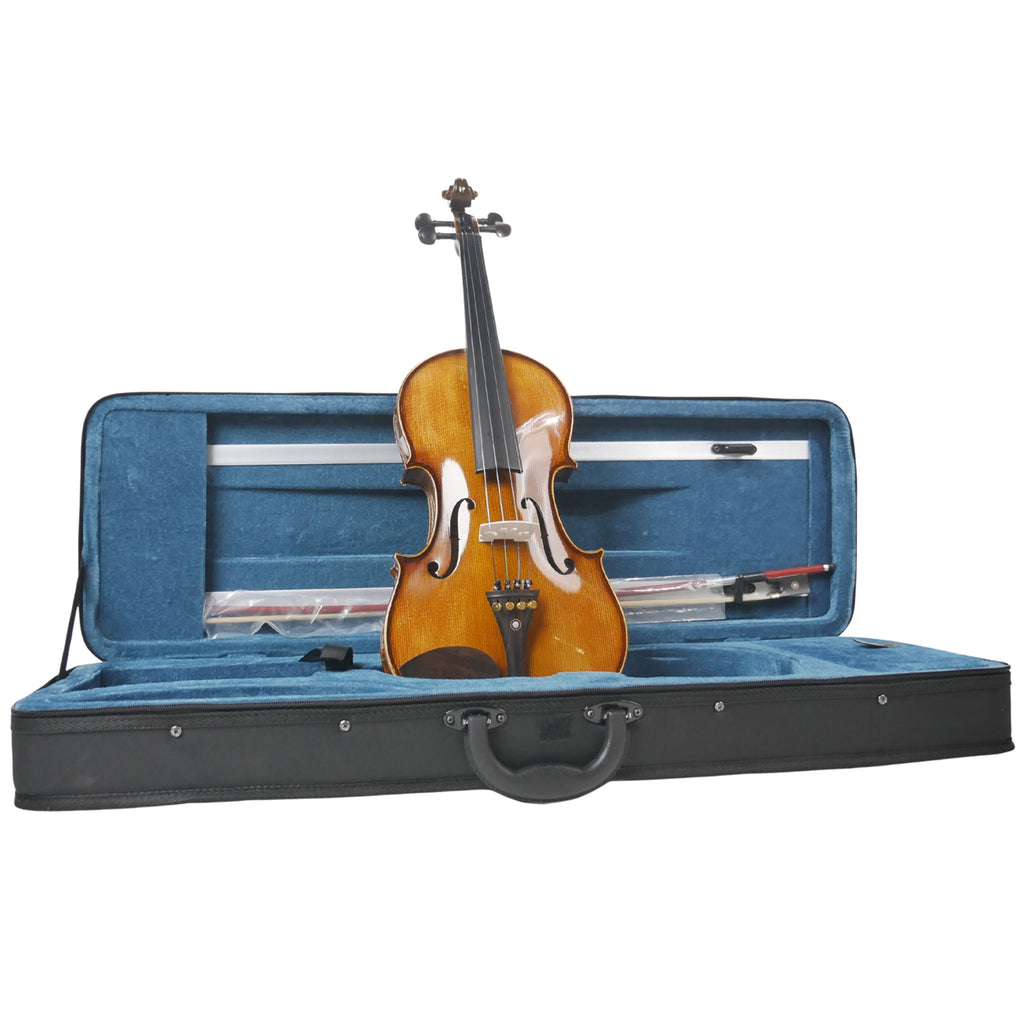 Procraft PR VHF301E 4/4 Violin