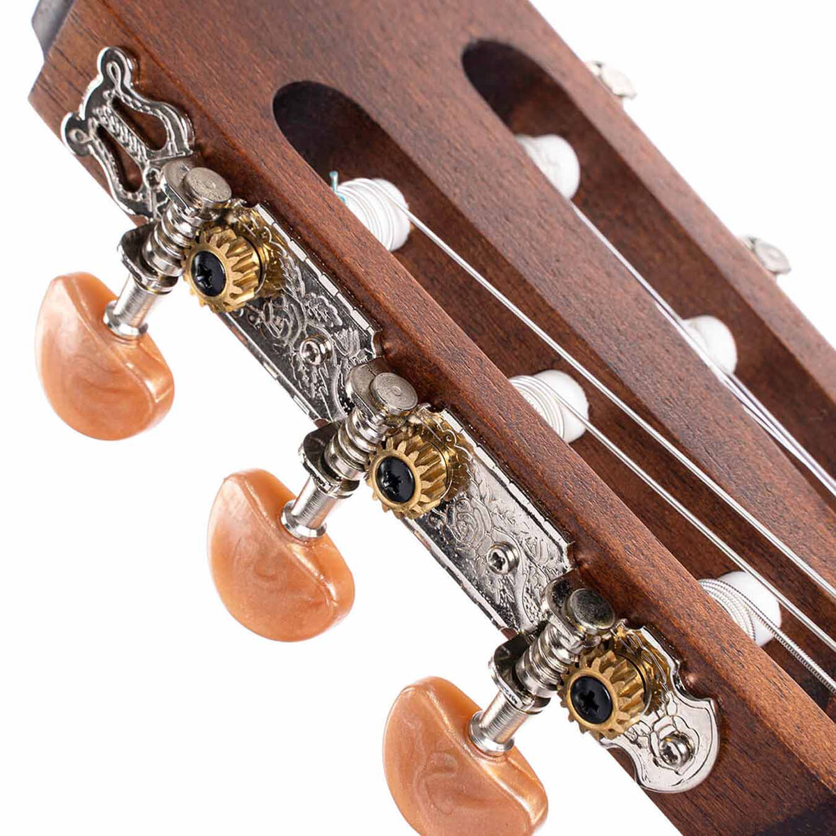Cort Acoustic Classic Guitar AC100DX