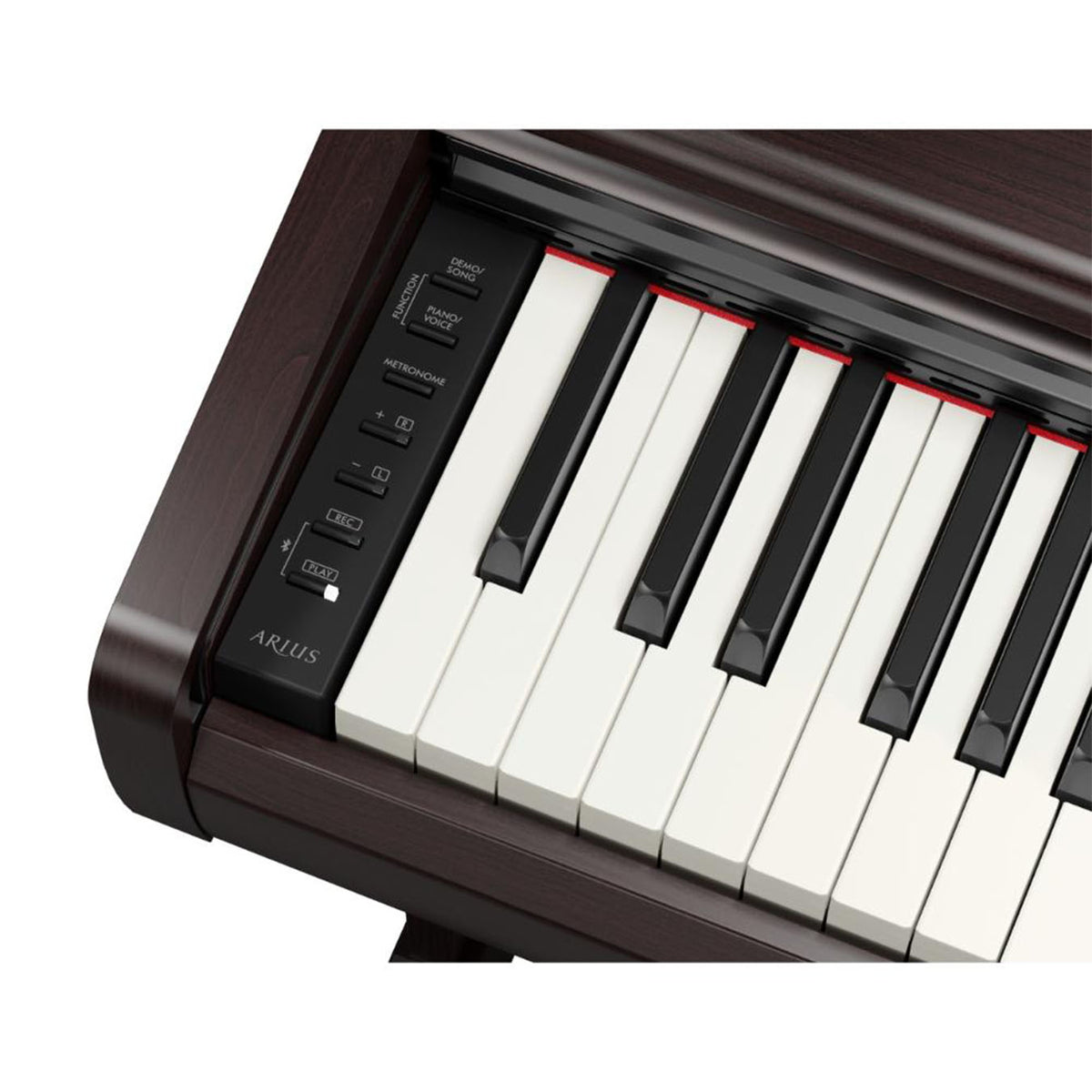 YAMAHA YDP-146R//Y2 WITH BENCH