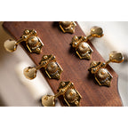 Cort GOLD DC6 Semi Acoustic Guitar with Carry Bag - Natural