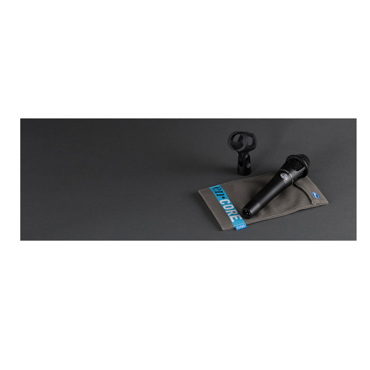 Blue Microphones enCORE 300 Vocal Condenser Microphone