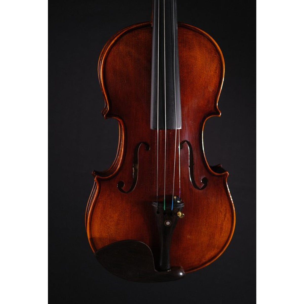 STRYDOM VNF302E 4/4 VIOLIN
