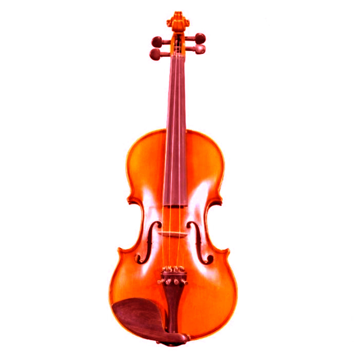 Trinity VP-01 Laminated Linden Violin- 4/4 With Case and Bow