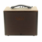 Procraft AGA SC-40 Acoustic Guitar Amplifier