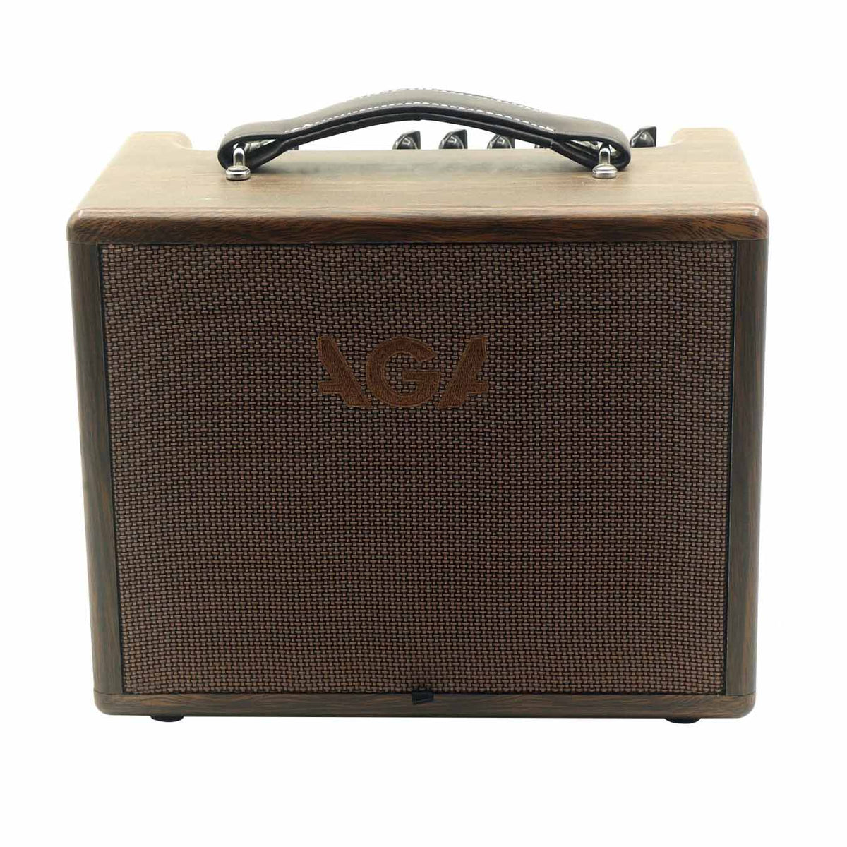 Procraft AGA SC-40 Acoustic Guitar Amplifier
