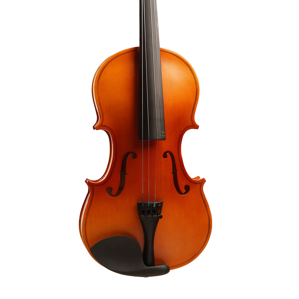 Procraft PR VS1 - Acoustic Violin with Bow, Rosin, Box