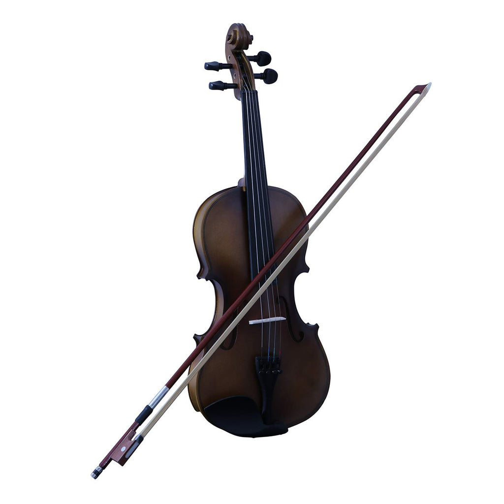 Procraft PR VS1 - Acoustic Violin with Bow-Rosin-Box - Dark Natural