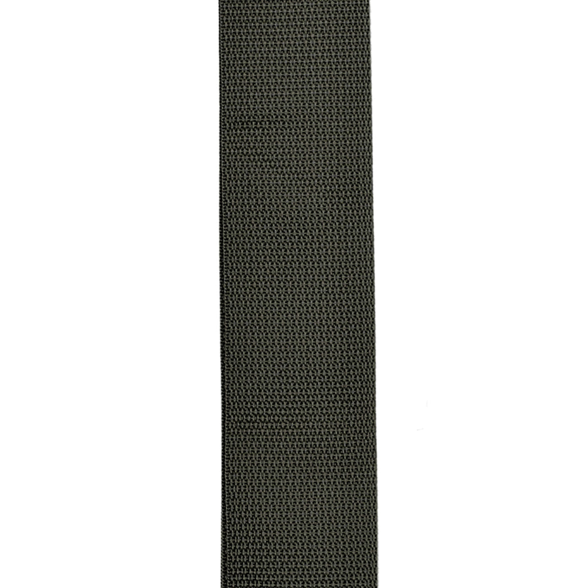 PLANET LOCK POLY PRO GUITAR STRAP Black PWSPL200