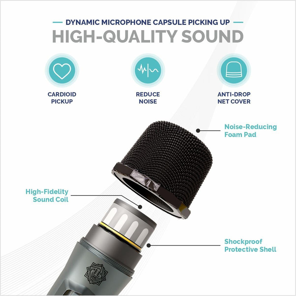 DIGIMORE D-340 Dynamic Handheld Single Wireless Microphone Set