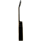 Pluto PA39C-201 Acoustic Guitar NT