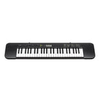 Casio CTK240 49 Standard Keys Keyboard