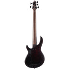 Cort B5 Element Artisan 5 String bass Guitar - Open Pore Natural