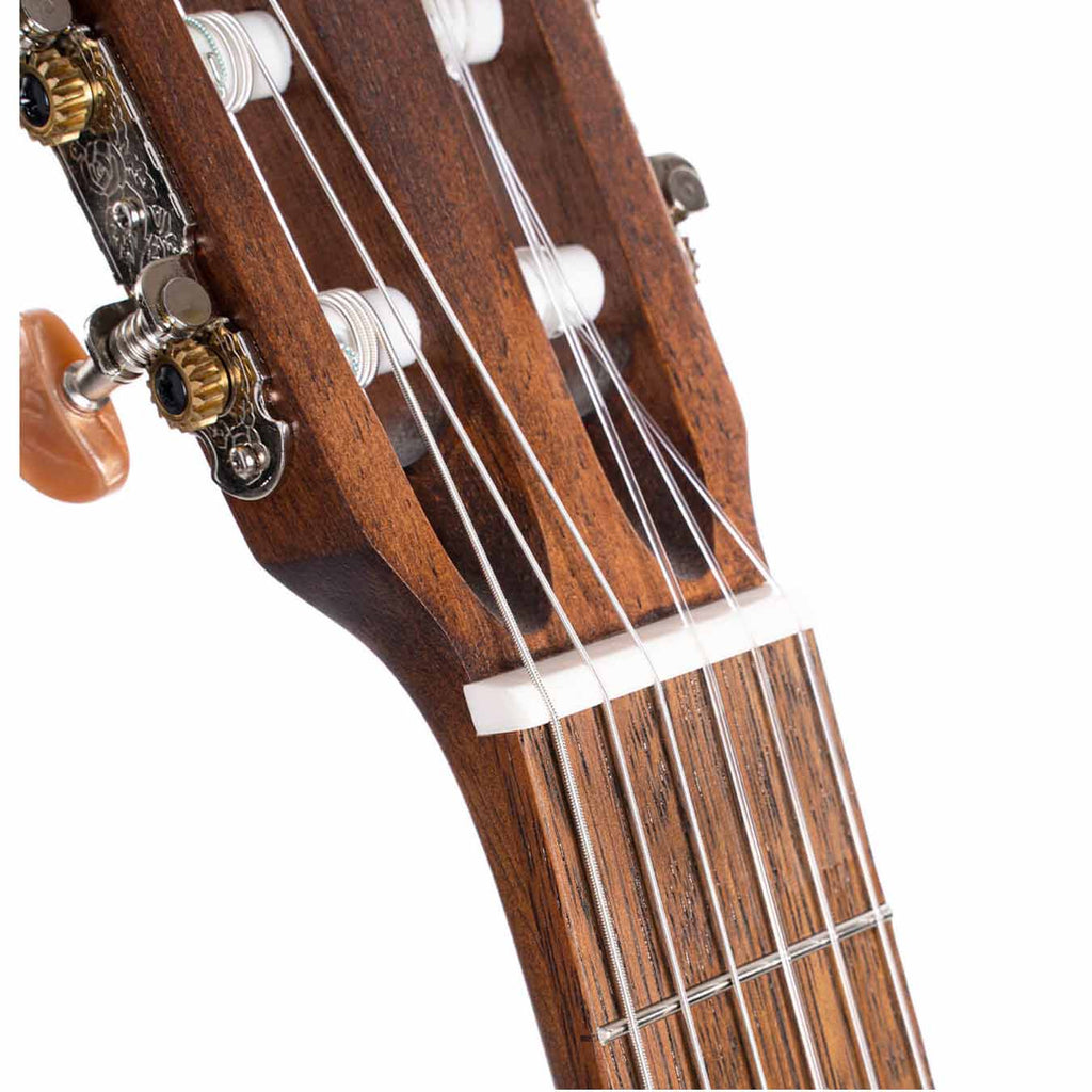 Cort Acoustic Classic Guitar AC100DX