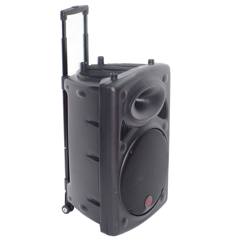 Aerons SK15A PORT BT Portable Speaker