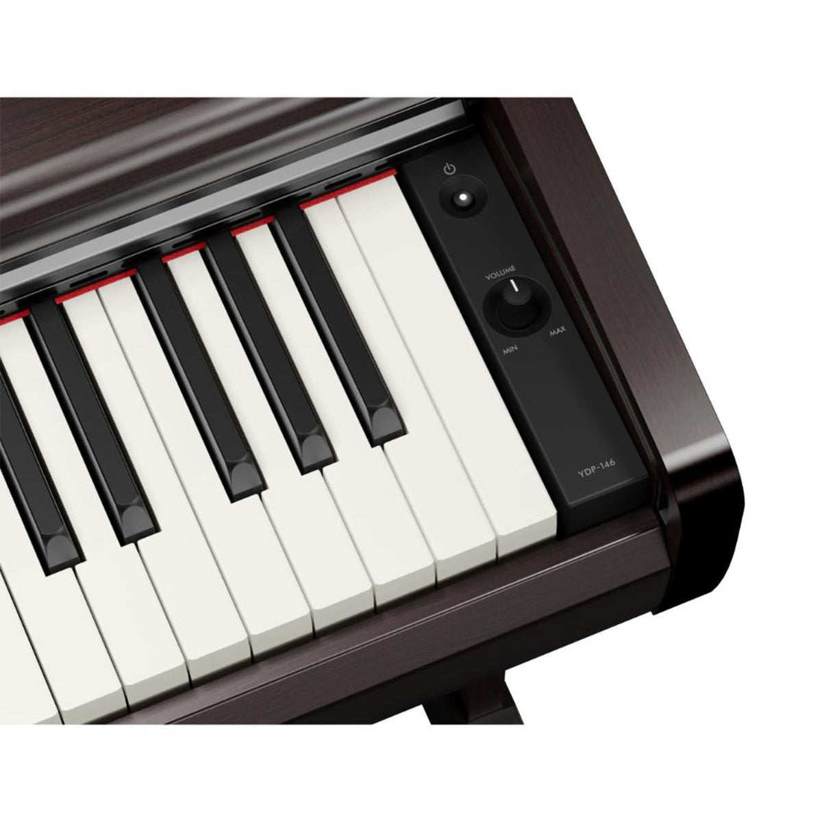 YAMAHA YDP-146R//Y2 WITH BENCH