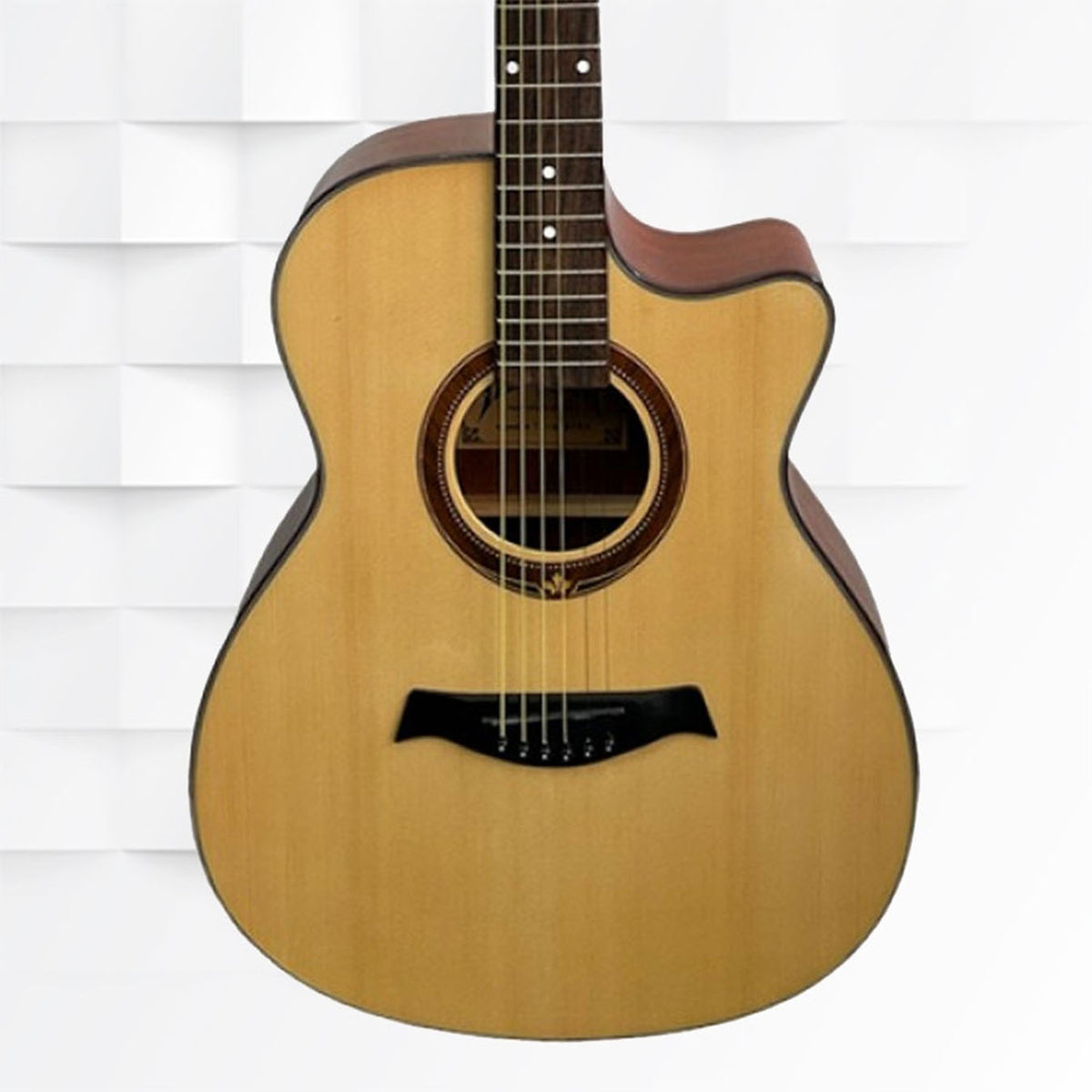 Tamrock TAG-4053 NA Acoustic Guitar