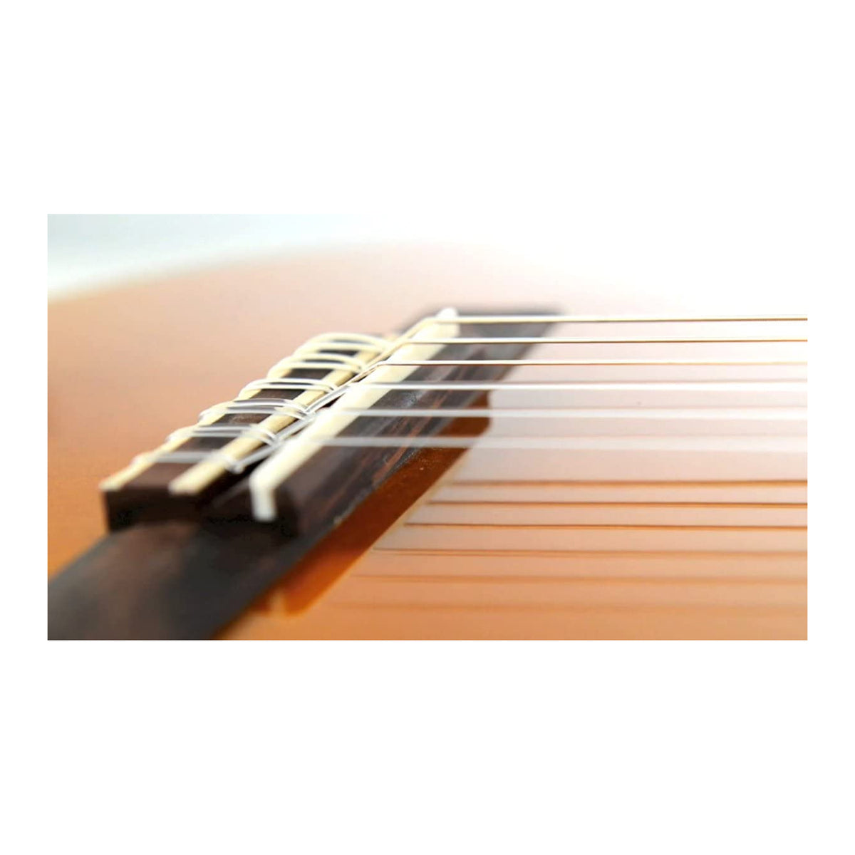 Yamaha Classical Guitar C40