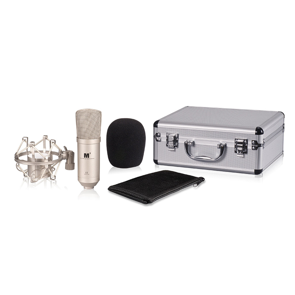 iCON M1 Large Diaphragm studio recording Microphone