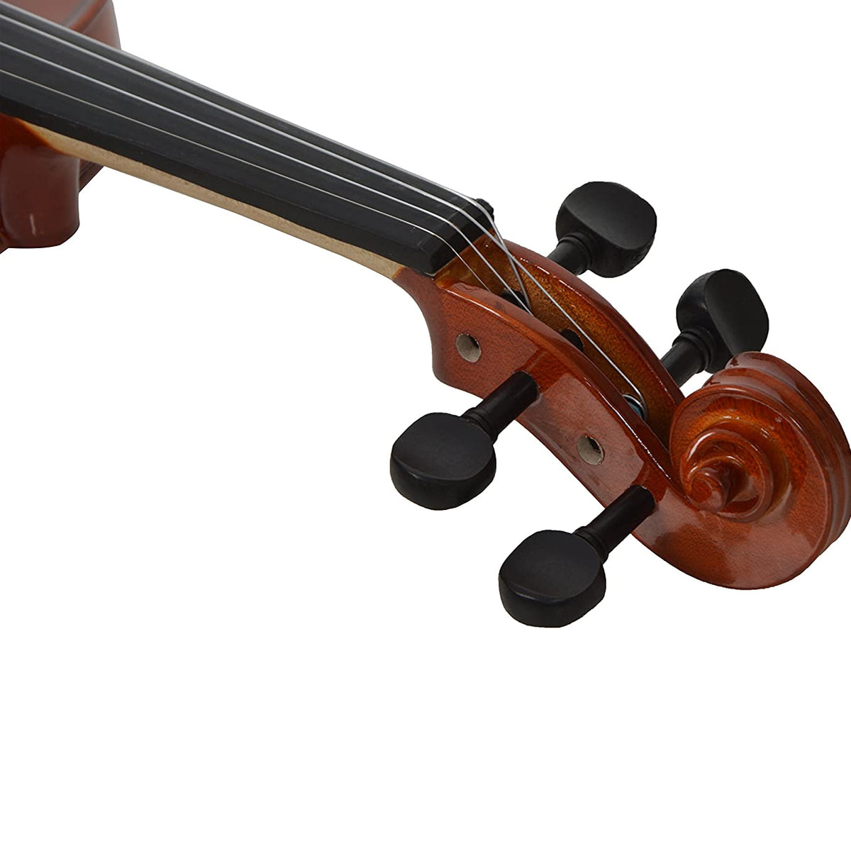 Parrot V-2 4/4 , 4-Strings Parrot Violin, Right Handed, Brown, With Case