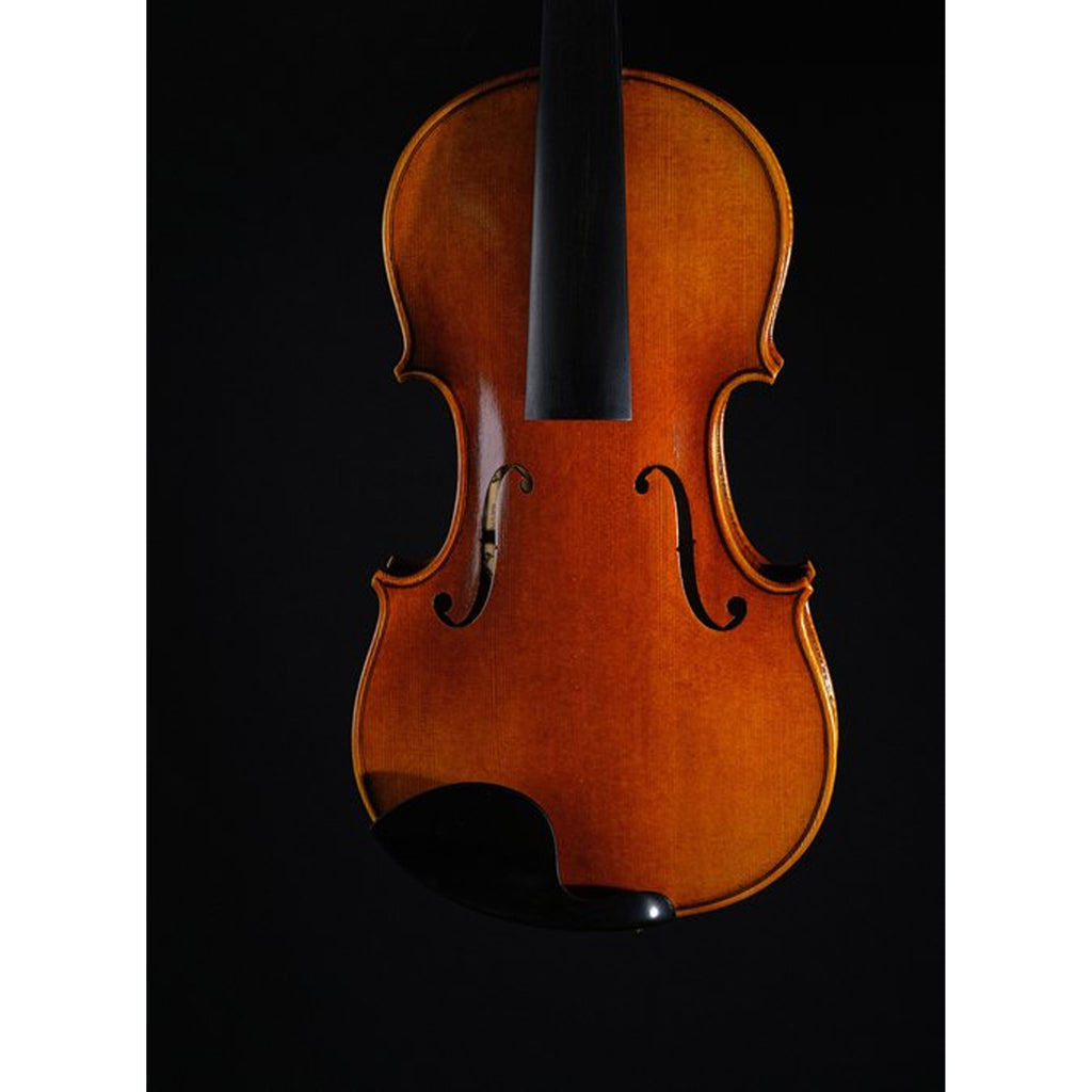 STRYDOM VIOLIN HV 21
