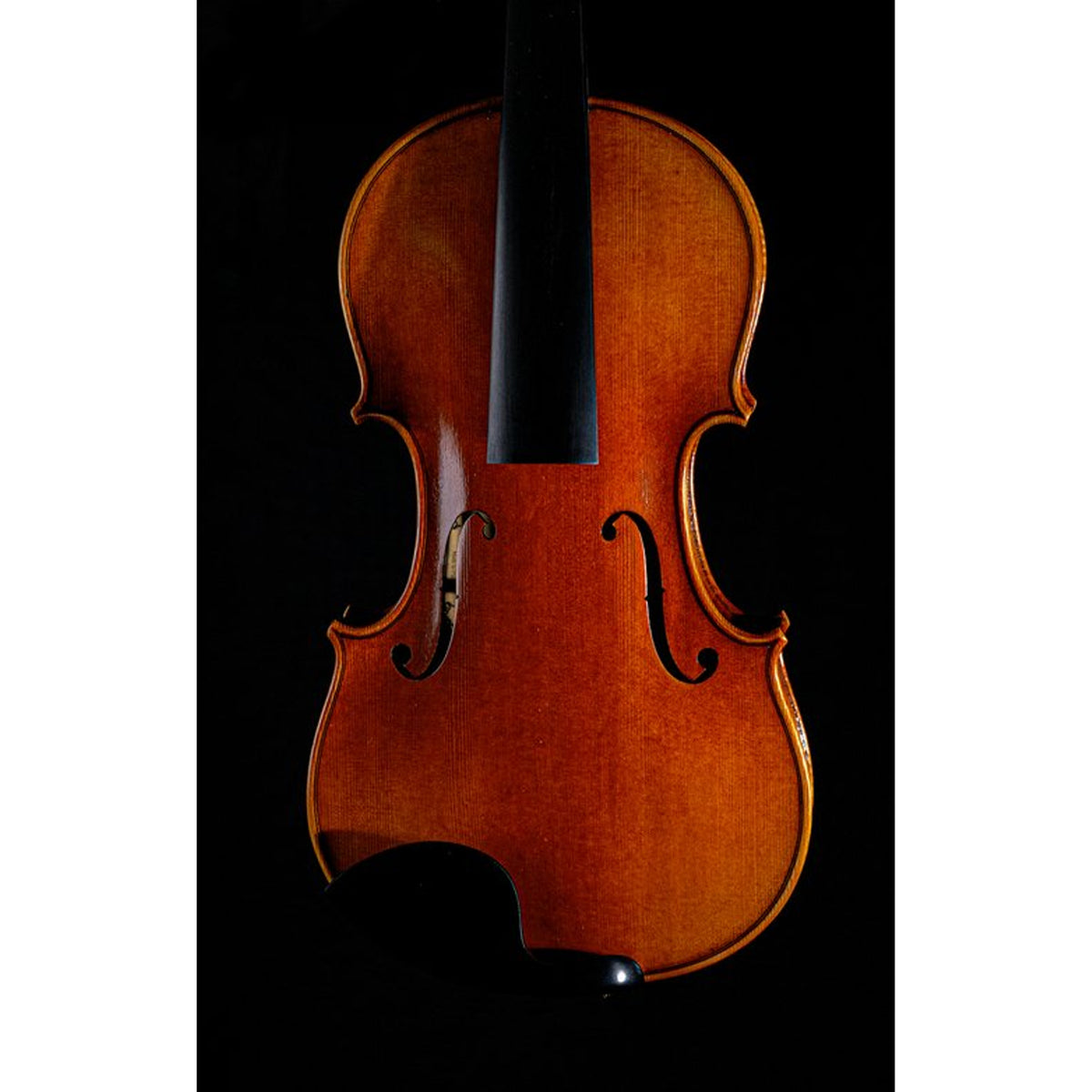 STRYDOM VIOLIN HV 31