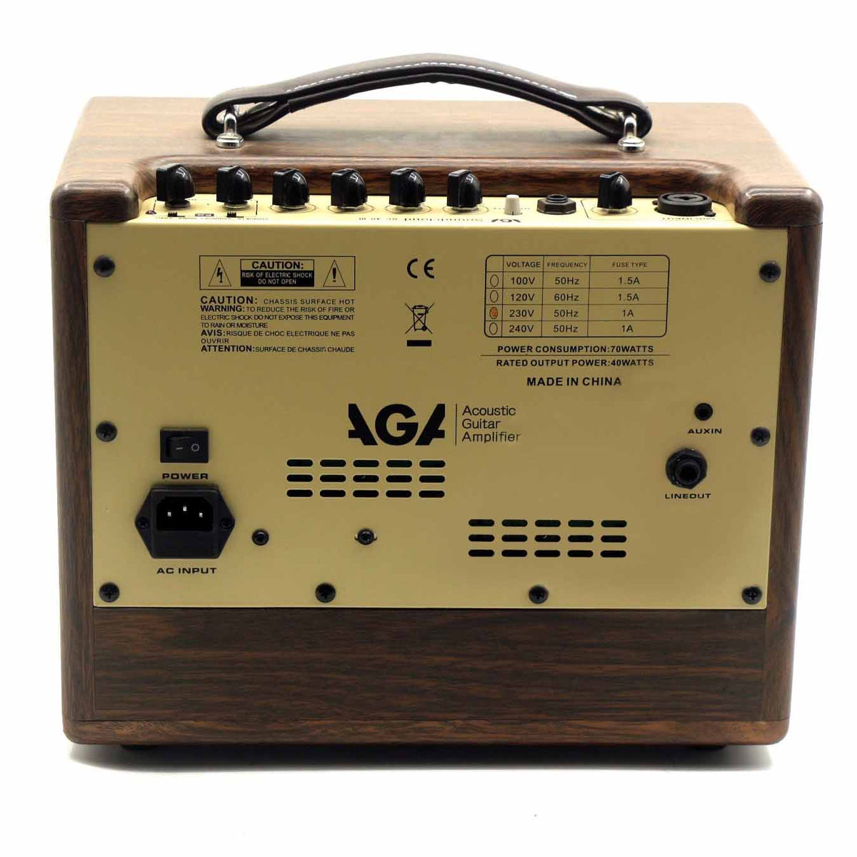 Procraft AGA SC-40 Acoustic Guitar Amplifier