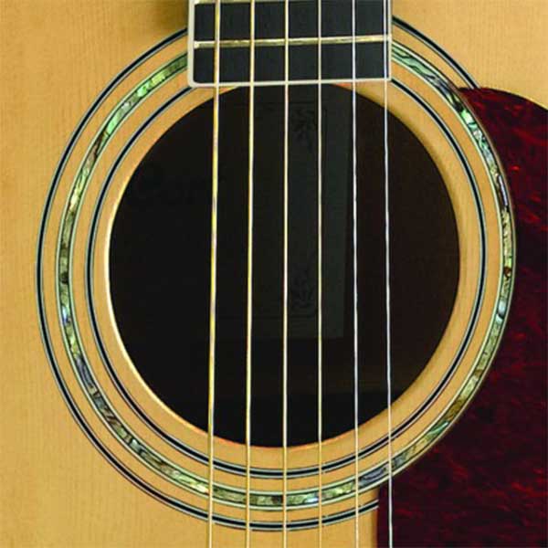 Cort MR710F Semi Acoustic Guitar