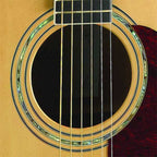 Cort MR710F Semi Acoustic Guitar