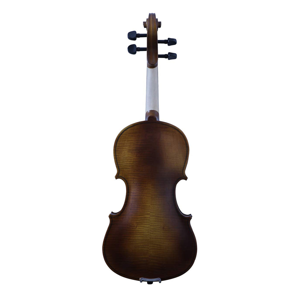 Procraft PR VS1 - Acoustic Violin with Bow-Rosin-Box - Dark Natural