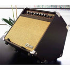 Carlsbro Sherwood 20R(20watt) Acoustic Guitar Combo Amp Reverb