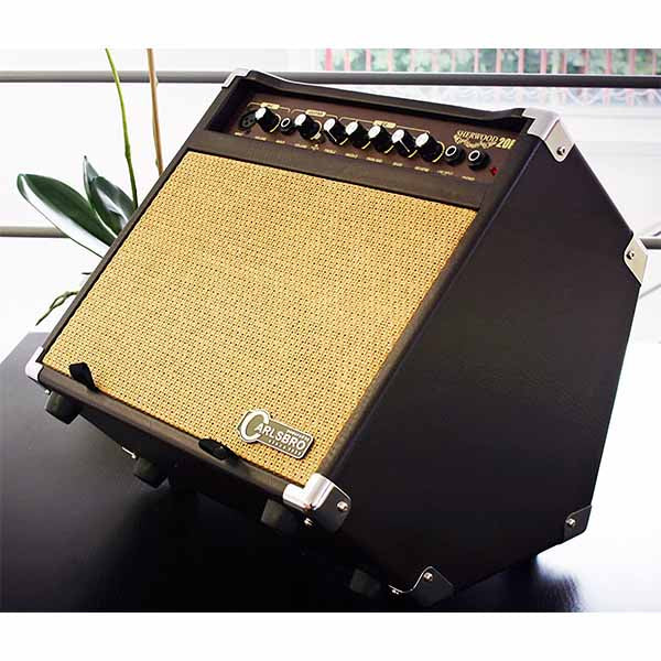 Carlsbro Sherwood 20R(20watt) Acoustic Guitar Combo Amp Reverb
