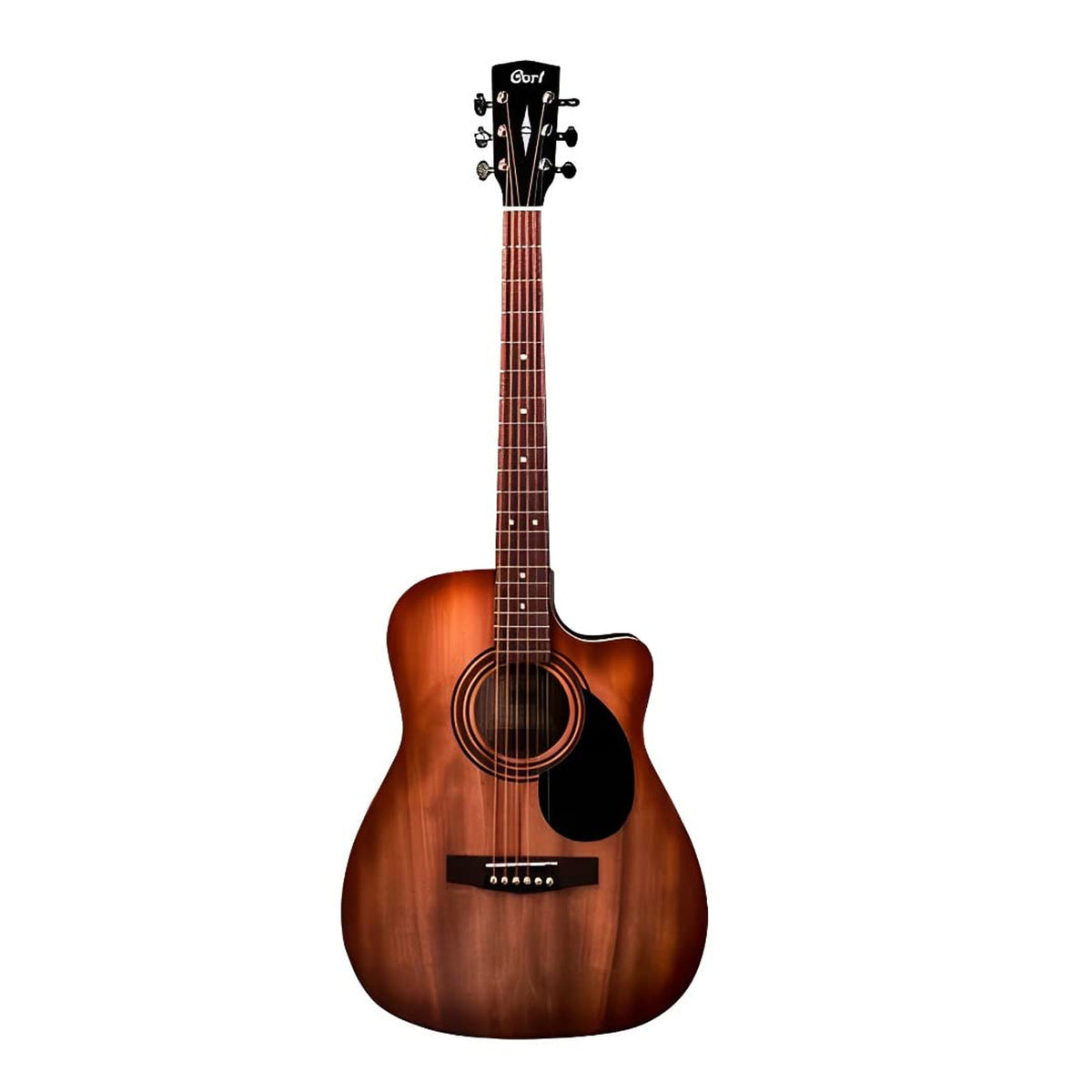 Cort AF500MC Acoustic Guitar