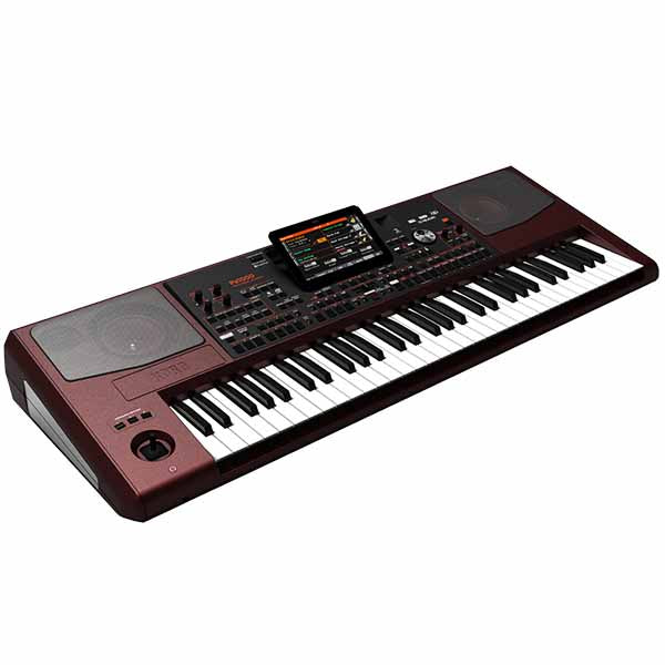 KORG PA1000 Professional Arranger+Indian Pack Micro SD Card